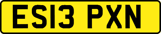 ES13PXN