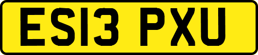 ES13PXU