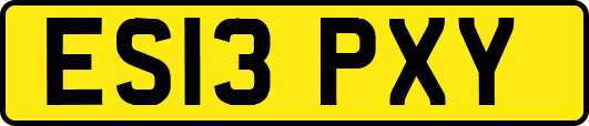 ES13PXY