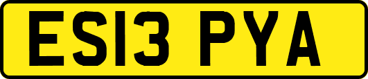 ES13PYA