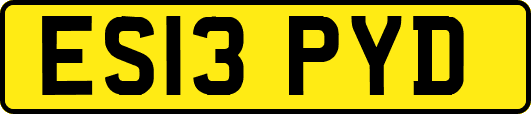 ES13PYD