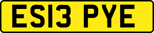ES13PYE