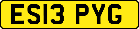ES13PYG
