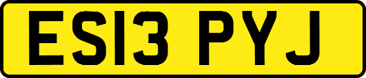 ES13PYJ