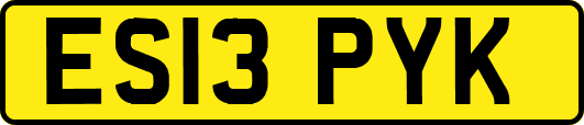 ES13PYK