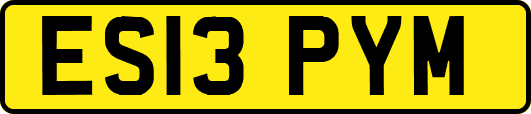 ES13PYM