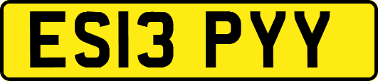 ES13PYY