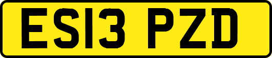 ES13PZD