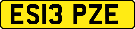 ES13PZE