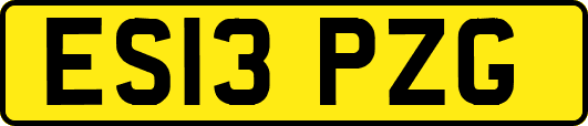 ES13PZG