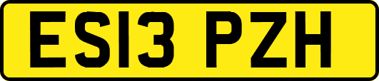 ES13PZH