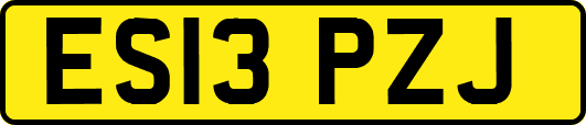 ES13PZJ