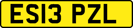 ES13PZL