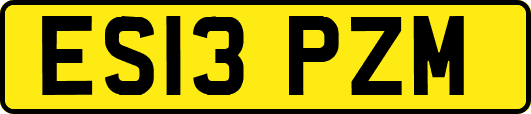 ES13PZM