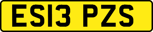 ES13PZS