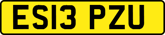 ES13PZU