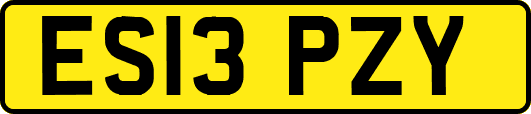 ES13PZY