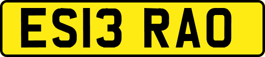 ES13RAO