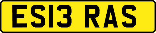 ES13RAS