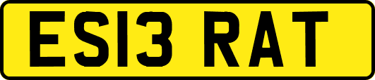 ES13RAT