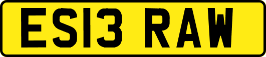 ES13RAW