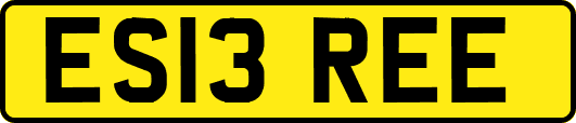 ES13REE