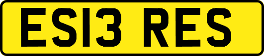 ES13RES