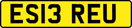 ES13REU
