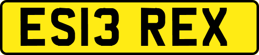 ES13REX