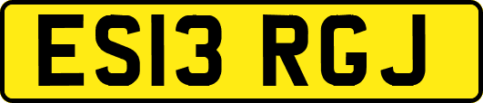 ES13RGJ