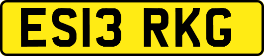 ES13RKG