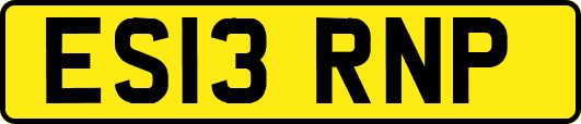 ES13RNP