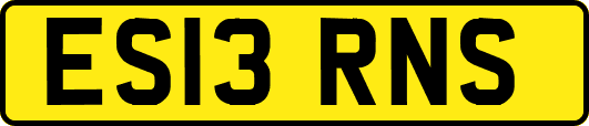 ES13RNS