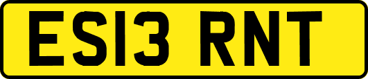 ES13RNT