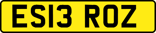 ES13ROZ