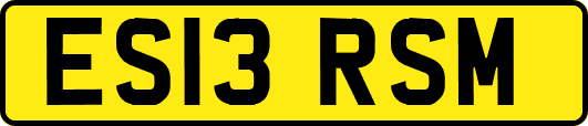 ES13RSM