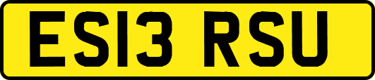 ES13RSU