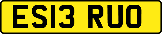 ES13RUO