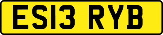 ES13RYB