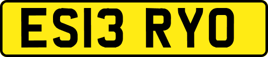 ES13RYO