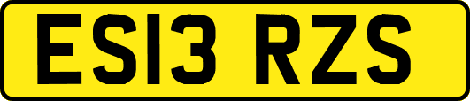 ES13RZS