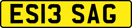 ES13SAG