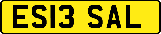 ES13SAL