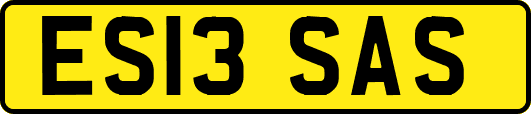ES13SAS