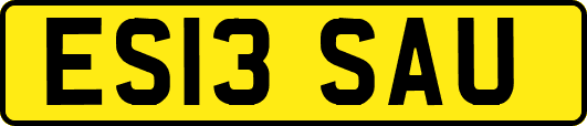 ES13SAU