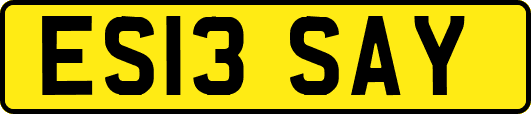 ES13SAY