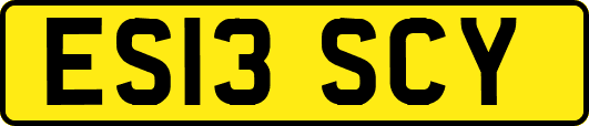 ES13SCY