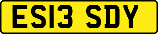 ES13SDY