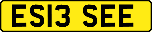 ES13SEE