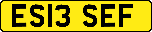 ES13SEF